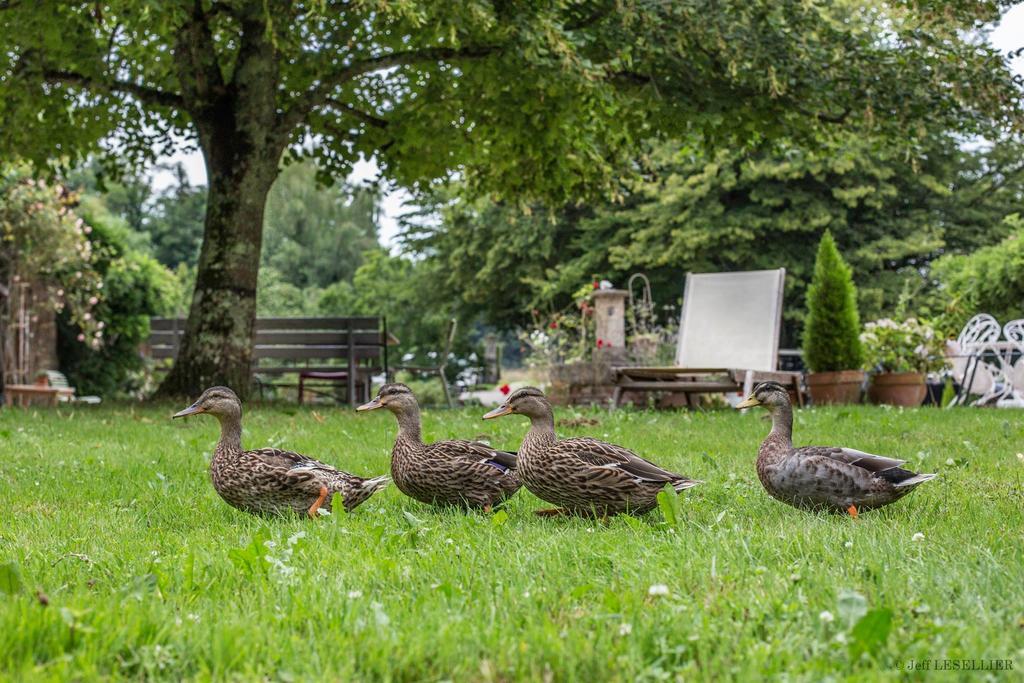 Bruailles La Ferme De Marie Eugenie B&B 외부 사진